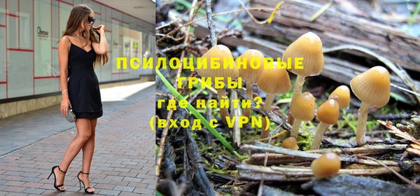 a pvp Белокуриха