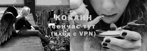 стафф Беломорск
