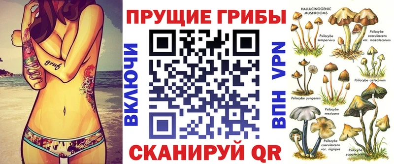 где можно купить   Гаврилов-Ям  Галлюциногенные грибы Cubensis 