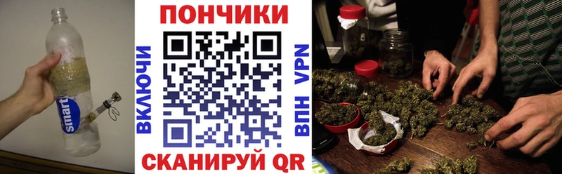 Каннабис гибрид  Гаврилов-Ям 